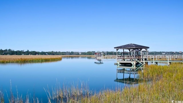 33 Hope Ln, Pawleys Island, SC 29585 - photo 6