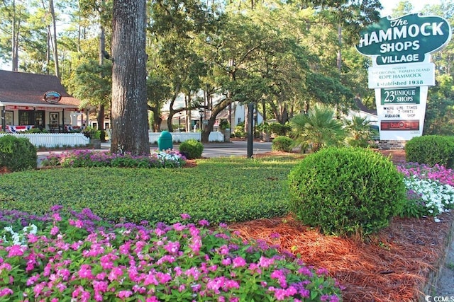 33 Hope Ln, Pawleys Island, SC 29585 - photo 5