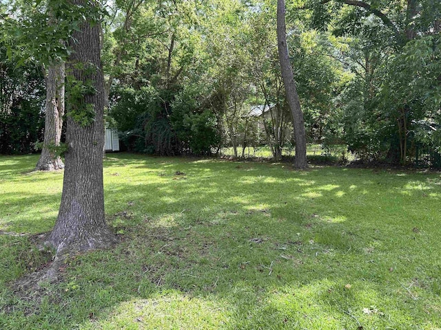 404 E Andrews St, Hemingway, SC 29554 - view of grassy yard