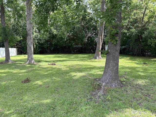 404 E Andrews St, Hemingway, SC 29554 - view of yard