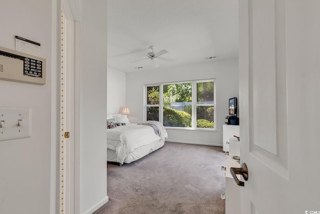 1208 Trisail Ln, North Myrtle Beach, SC 29582 - bedroom featuring carpet and ceiling fan