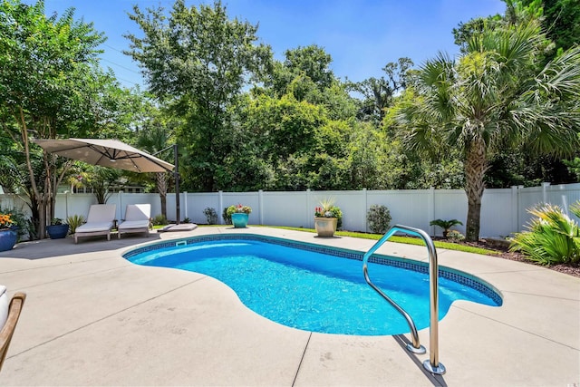 5 Ruth St, Murrells Inlet, SC 29576 - view of pool with a patio area and a fenced backyard