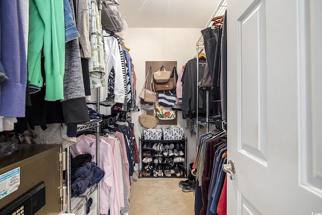 388 Sea Turtle Dr, Myrtle Beach, SC 29588 - walk in closet with carpet