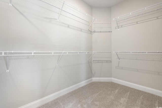 369 Log Cabin Rd, Loris, SC 29569 - spacious closet with carpet floors