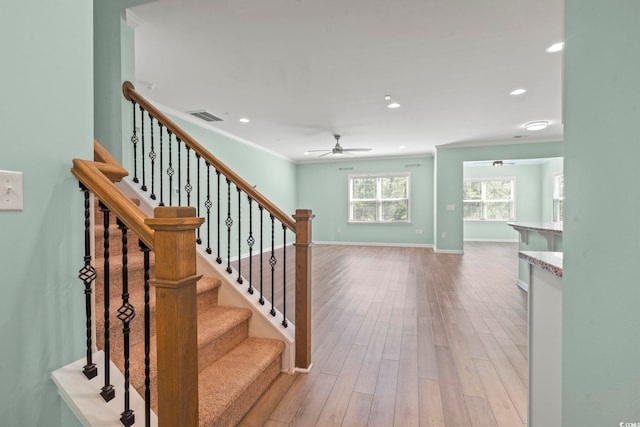 597 Heritage Downs Dr, Conway, SC 29526 - stairs with wood finished floors, ceiling fan, recessed lighting, and ornamental molding