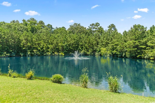 236 Palm Cove Cir, Myrtle Beach, SC 29588 - water view with a heavily wooded area