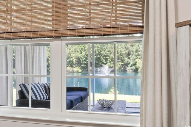236 Palm Cove Cir, Myrtle Beach, SC 29588 - detailed view of nearby water