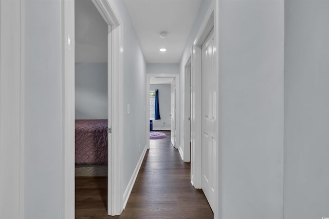 35 Easter Lilly Ct, Murrells Inlet, SC 29576 - hall featuring dark wood finished floors