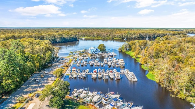 35 Easter Lilly Ct, Murrells Inlet, SC 29576 - aerial view of numerous boat docks and a nearby body of water