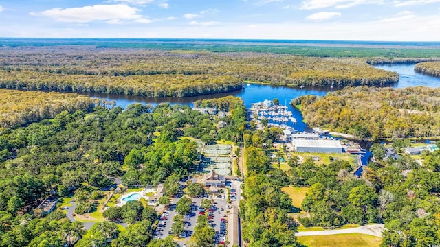 35 Easter Lilly Ct, Murrells Inlet, SC 29576 - aerial view of a large body of water and a heavily wooded area