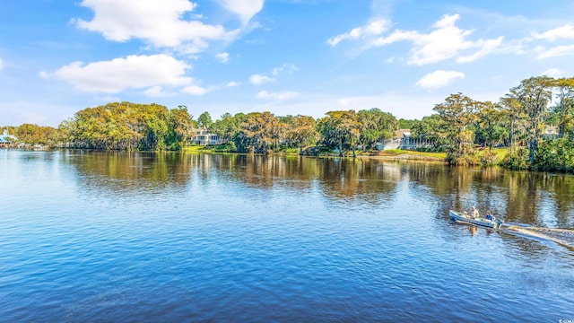 35 Easter Lilly Ct, Murrells Inlet, SC 29576 - water view