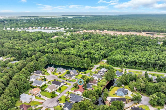 35 Easter Lilly Ct, Murrells Inlet, SC 29576 - aerial view of residential area with a heavily wooded area and a large body of water