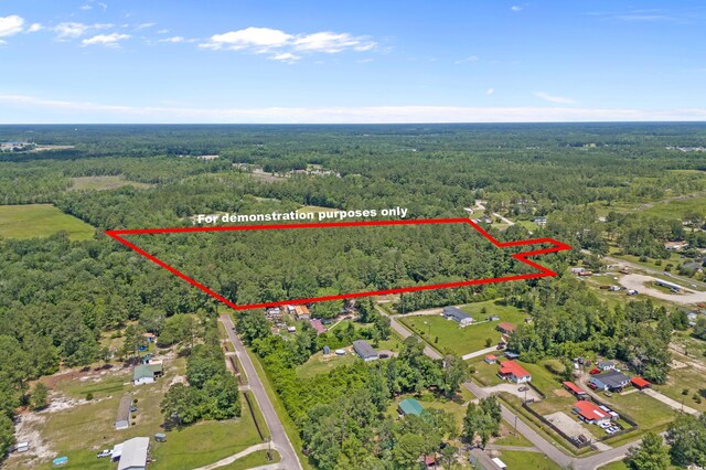 286 Norris Rd, Loris, SC 29569 - photo 10
