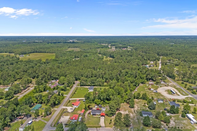 286 Norris Rd, Loris, SC 29569 - photo 9