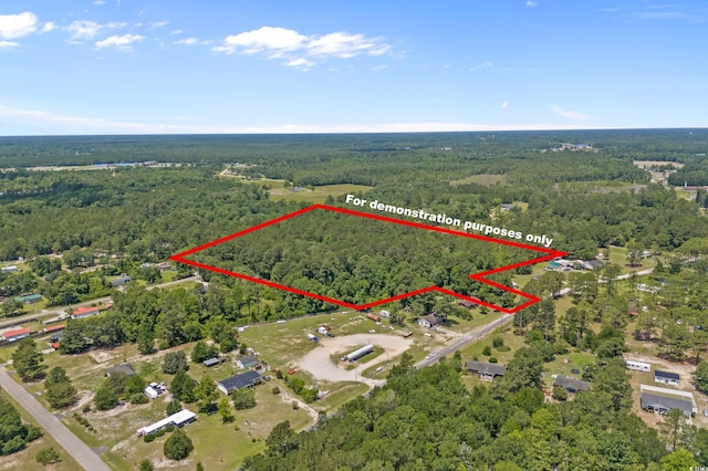 286 Norris Rd, Loris, SC 29569 - photo 6