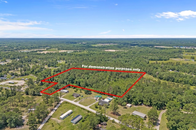 286 Norris Rd, Loris, SC 29569 - photo 4
