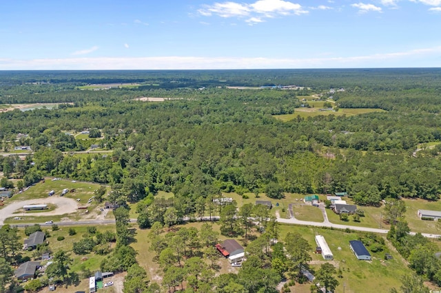 286 Norris Rd, Loris, SC 29569 - photo 3