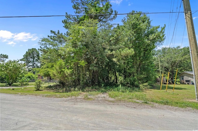 286 Norris Rd, Loris, SC 29569 - photo 1