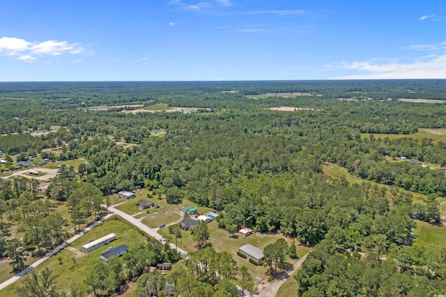 286 Norris Rd, Loris, SC 29569 - photo 15