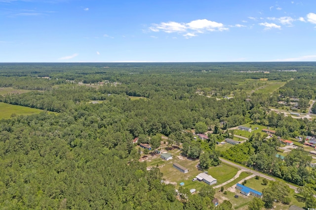 286 Norris Rd, Loris, SC 29569 - photo 13