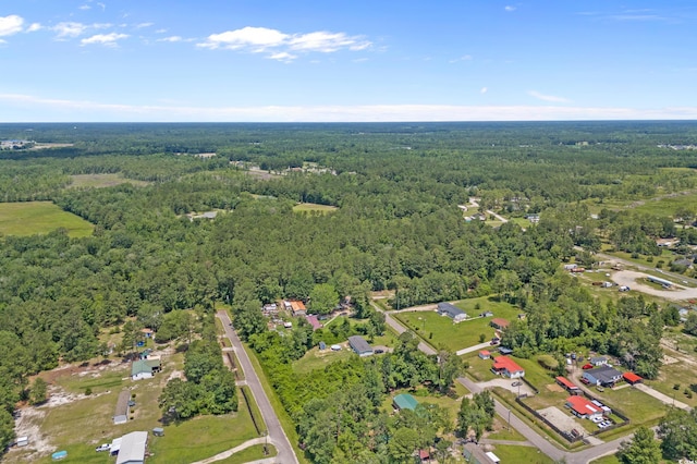 286 Norris Rd, Loris, SC 29569 - photo 11
