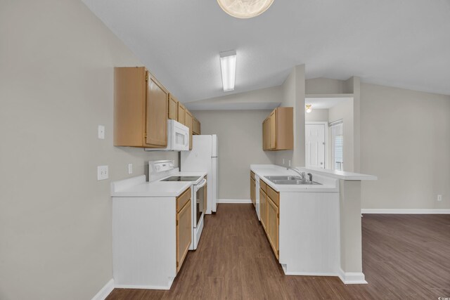 8658 Southbridge Dr Unit L, Myrtle Beach, SC 29575 - photo 7