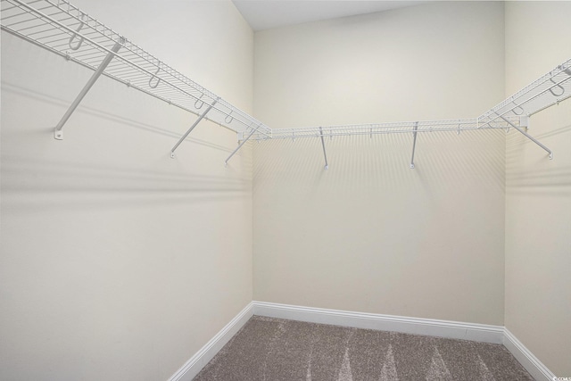 380 Babylon Pine Dr, Myrtle Beach, SC 29579 - photo 21