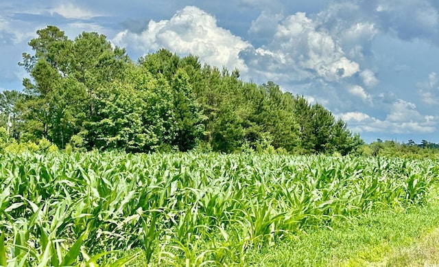 0 Fc Cox Rd, Hemingway, SC 29554