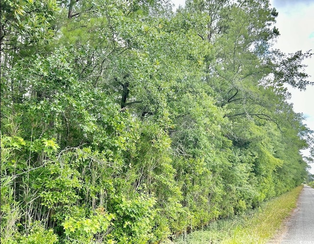 0 Fc Cox Rd, Hemingway, SC 29554