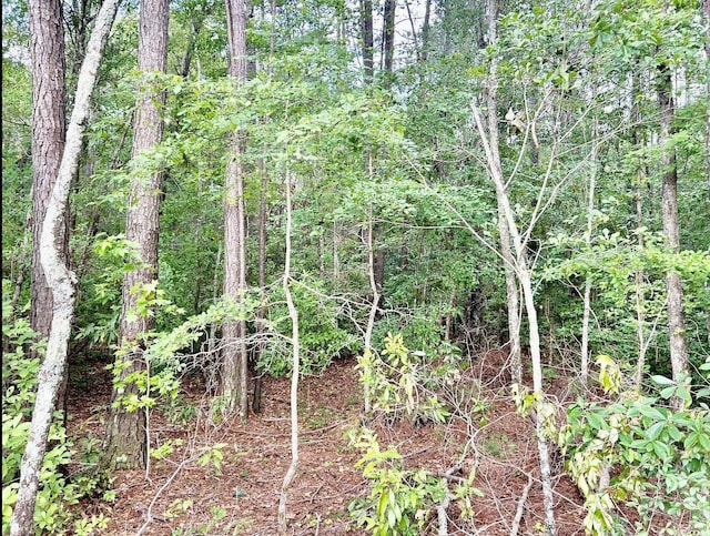0 Fc Cox Rd, Hemingway, SC 29554
