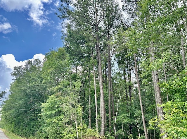 0 Fc Cox Rd, Hemingway, SC 29554