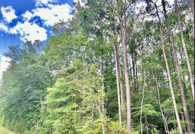 0 Fc Cox Rd, Hemingway, SC 29554
