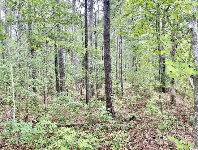 0 Fc Cox Rd, Hemingway, SC 29554
