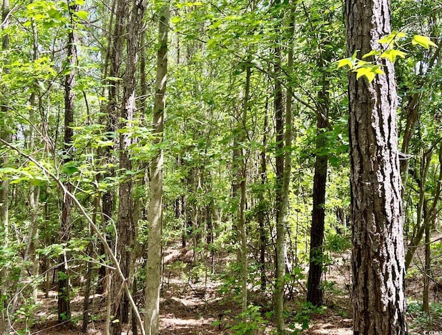 0 Fc Cox Rd, Hemingway, SC 29554