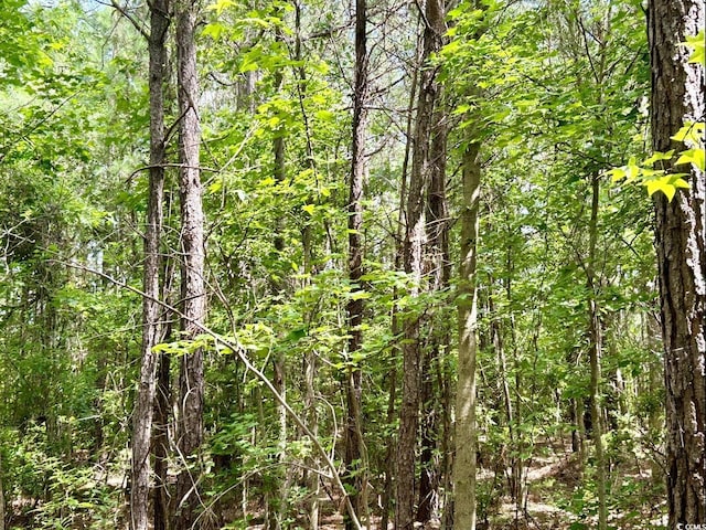 0 Fc Cox Rd, Hemingway, SC 29554