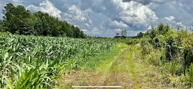 0 Fc Cox Rd, Hemingway, SC 29554