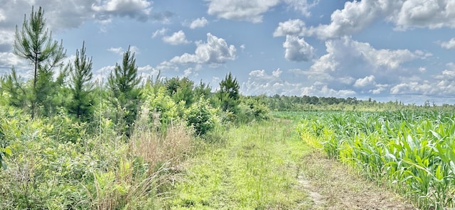 0 Fc Cox Rd, Hemingway, SC 29554