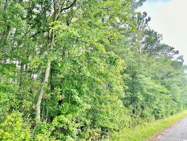 0 Fc Cox Rd, Hemingway, SC 29554