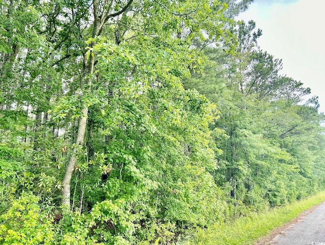 0 Fc Cox Rd, Hemingway, SC 29554 - photo 24