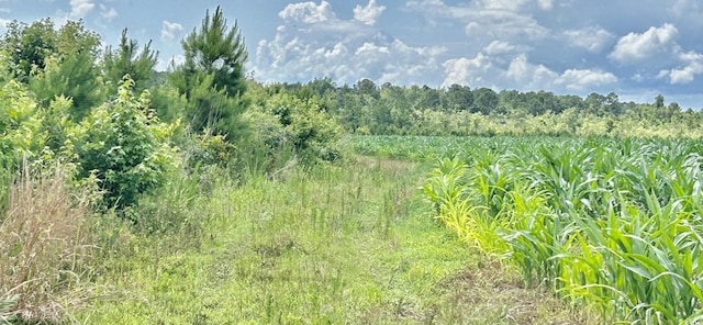 0 Fc Cox Rd, Hemingway, SC 29554