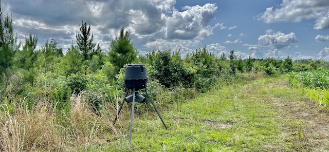 0 Fc Cox Rd, Hemingway, SC 29554