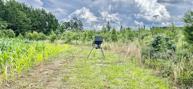 0 Fc Cox Rd, Hemingway, SC 29554