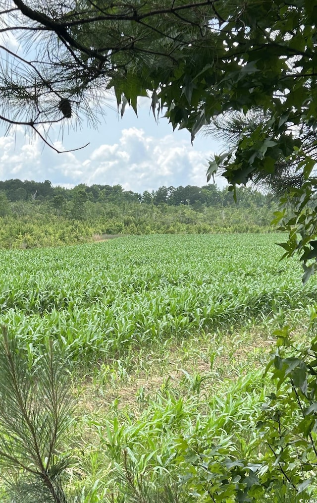 0 Fc Cox Rd, Hemingway, SC 29554