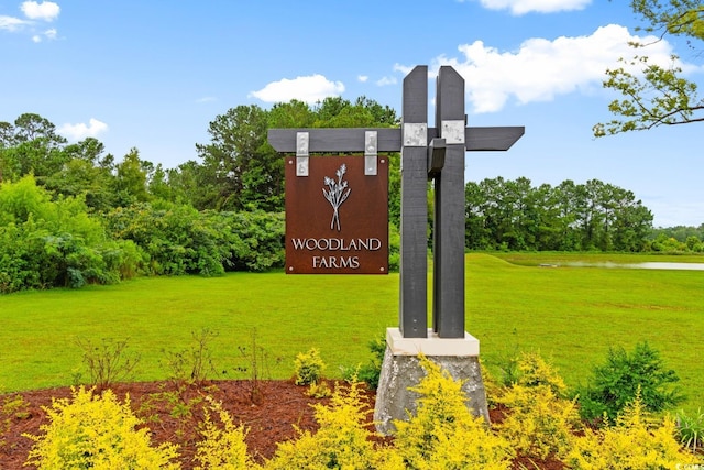 572 Woodland Farms Cir, Aynor, SC 29511 - photo 34