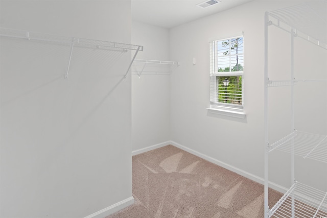 3657 Bells Lake Cir, Longs, SC 29568 - walk in closet with carpet