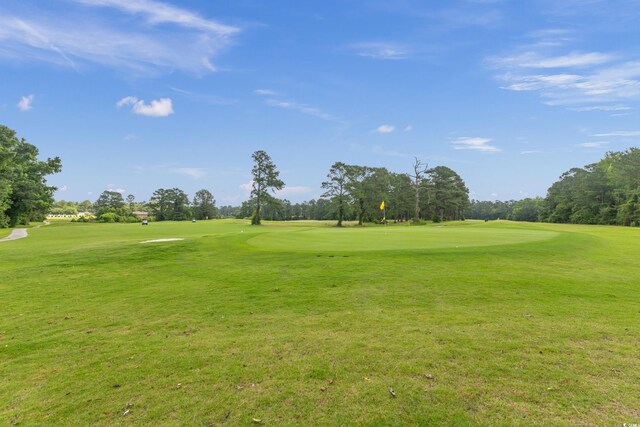 482 Greenview Dr Unit 482, Johnsonville, SC 29555 - photo 31