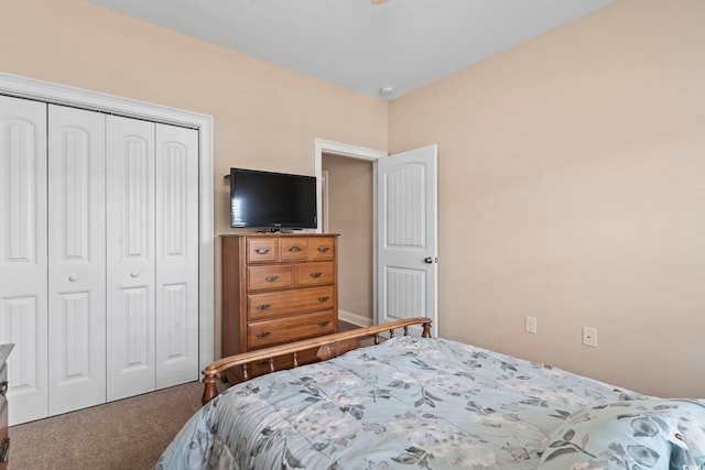 144 Baylee Cir, Aynor, SC 29544 - bedroom featuring carpet floors and a closet