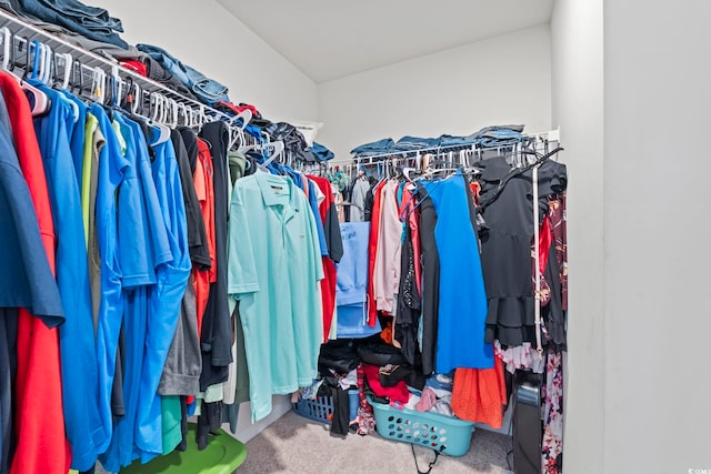 798 Woodland Farms Cir, Aynor, SC 29511 - walk in closet featuring carpet