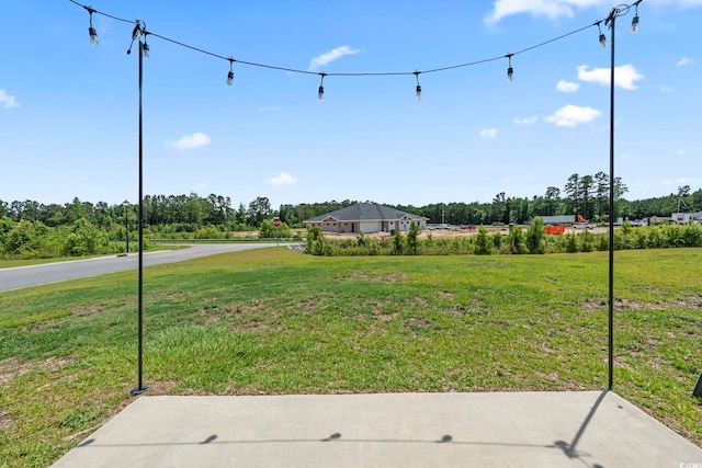 798 Woodland Farms Cir, Aynor, SC 29511 - view of yard
