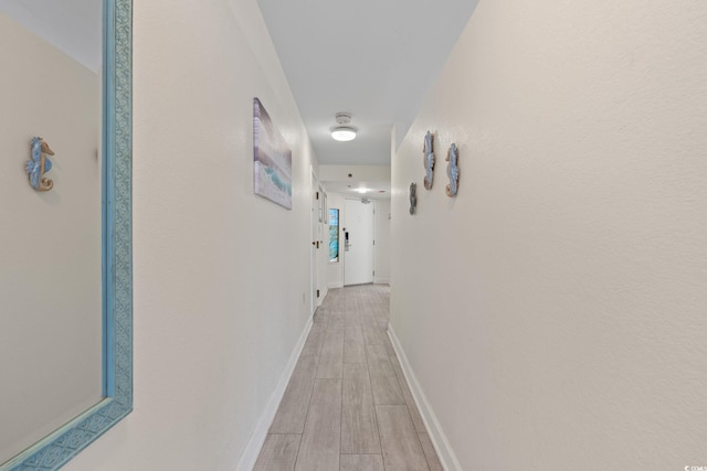 4800 S Ocean Blvd Unit 920, North Myrtle Beach, SC 29582 - hallway with light wood finished floors and baseboards